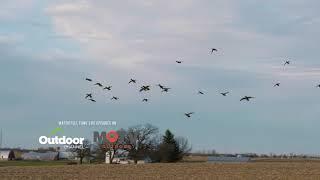 Successful Wisconsin Duck Hunt - Key to have wind to our backs and sun in their eyes