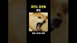 레전드 공포썰 [옆집]