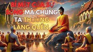 Hơi Thở – Bí Mật Của Sự Sống Mà Chúng Ta Thường Lãng Quên .| Lời Phật Dạy.