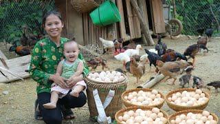 Lots of Eggs on the Farm of a 17-Year-Old Single Mother - Daily Work of a 17 Year Old Mother