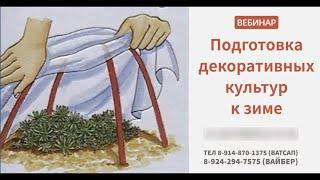Фрагмент записи вебинара "Подготовка декоративных многолетников к зиме"  Долгих Анна