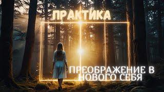 Практика «Преображение в нового себя»27.11.2024