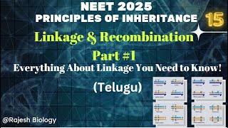 Linkage & Recombiantion | Morgan Genetics (telugu) | Principles of Inheritance | NCERT NEET Biology