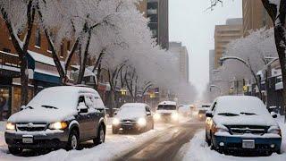 SNOWSTORM SASKATOON, CANADA (-25 ️️️) NOV.24, 2024