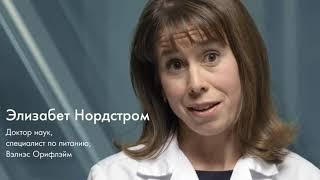 Что такое Wellness пэк? Что в него входит?