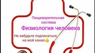 Физиология желчи