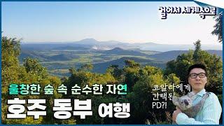 울창한 숲 속 순수한 자연의 생명! 귀여운 호주 대표 동물들을 보고픈 '호주 동부 여행1⃣' Trip to Australia (KBS_20170506)