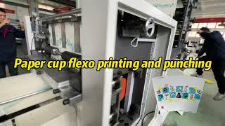 Paper cup fans flexo printing and punching machine: 4 colors press, Metal die cutting