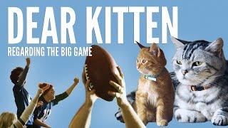 Dear Kitten: Regarding The Big Game