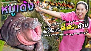 ตื่นตีสาม ตามหาน้องหมูเด้ง | พี่เฟิร์น 108Life