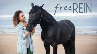 #free REIN/ Love Again song