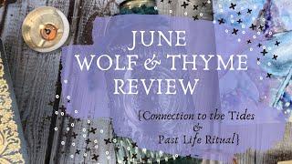 June Wolf & Thyme Review