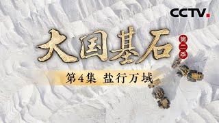 新疆有座够中国人吃1000年的盐山！看中国盐业如何“点盐成金”？《大国基石 第二季》 第4集 盐行万域 | CCTV