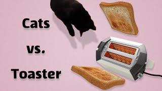 Cats Vs. Toaster  | Compilation |  Hold your laugh if you can | Diba pets