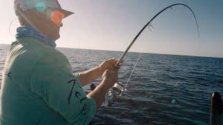 Guidelines - Mangrove Snapper, Offshore in the Bay Boat