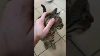 Хозяин кухни