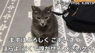 飼い猫とラップバトルしてみました