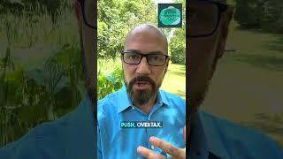 Licorice Extract  The Perfect Adrenal Fatigue Supplement?  #adrenalfatigue #drandrewneville