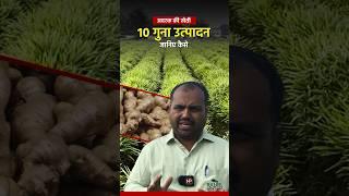 अदरक की खेती में कैसे लें 10 गुना ज़्यादा उत्पादन ॥ #gingerfarming  #अदरक #kheti #newspotli