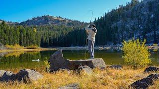 Fishing for the most BEAUTIFUL FISH on Earth!! (Fly Fishing for Trout)