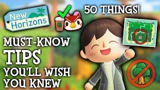 50 Things I WISH I Knew Sooner in Animal Crossing New Horizons