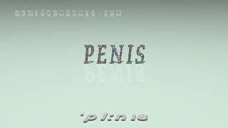 penis - pronunciation