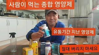 사람이 먹는 종합 영양제를 화초에 주면 놀라운 비료 효과!! (유통기간 지난 영양제 절대 버리지 마세요)