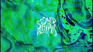 Stoned Platypus - Stoned Platypus (2024) (New Full EP)