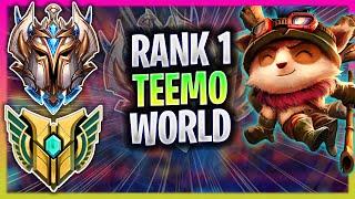 RANK 1 TEEMO IN THE WORLD! | RANK 1 TEEMO TOP GAMEPLAY | RANK 1 TEEMO GUIDE