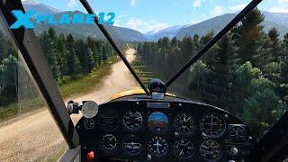 X-Plane 12 | MAXED Graphics Settings | A330, RV-10, Storms, Trees More...