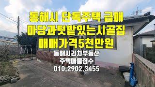 강원도 동해 단독주택 매매 마당있는 시골집 텃밭있는 촌집