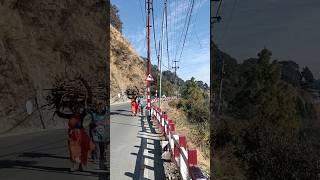 Nainital tourist destination is a perfect place for nature lovers #shorts #travel #uttarakhand