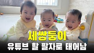 유튜브 각을 뽑아주는 세쌍둥이 고맙다ㅣ웃긴 아기 영상ㅣ삼둥이 현실 육아 24시간 ㅣ8개월 아가ㅣ아기 세수ㅣ잡고 서기ㅣ가정보육ㅣ육아 브이로그ㅣ출산장려ㅣVLOG