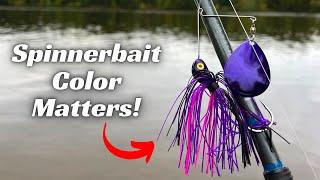 Spinnerbait Color Matters! Make The Right Choice!
