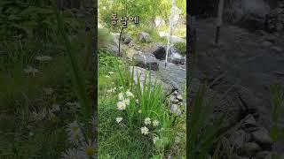 그대를 만나는 그날 찾아오면  나 잡은 두손 꼭 놓지 않을게요 #김호중 #kimhojoong  #봄날에 #세상