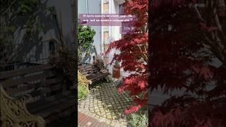 КРАСОТА МОЖЕТ СПАСТИ МИР? Конечно нет… Но она может сделать твою жизнь лучше. #красота #мир #жизнь