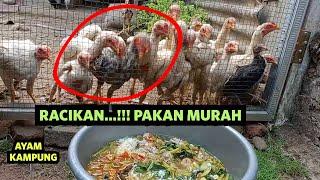 CARA MEMBUAT PAKAN AYAM MURAH