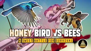 Honey Bird vs Bees: A Sweet Battle for Survival