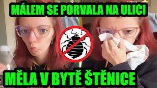 SHOPAHOLICADÉL POŘÁD CHODÍ S MARTINEM!!! ADÉLA MĚLA V BYTĚ ŠTĚNICE #shopaholicadel #reakce #drama