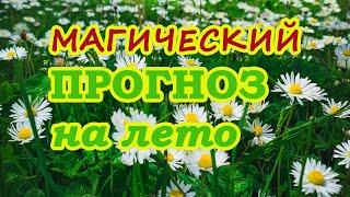 Магический прогноз на лето