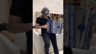 RETO DE CANCIONES AL AZAR (acordeon)/ARTURITO GARCIA 🪗