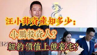 汪小菲資産知多少，小鵬投資人身份？紐約價值上億豪宅？｜娱乐矿场 大S 徐熙媛 馬筱梅 汪小菲 小S 徐熙娣 張蘭 具俊曄 汪希玥 汪希箖