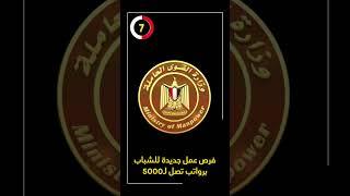 فرص عمل جديدة للشباب برواتب تصل لـ5000