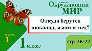 Откуда берутся шоколад, изюм, мед? Окружающий мир. 1 класс, 1 часть. Учебник А. Плешаков стр. 76-77