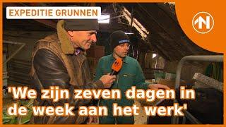 Rondsnuffelen op de boerderij in Bedum