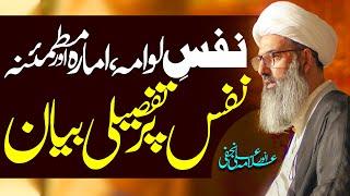 Nafs E Ammara Nafs E Lawwama Nafs E Mutmainna | Allama Anwar Ali Najafi | ⓒ