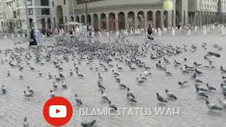 Menu shoq madine Jawan da || Naat Status || WhatsApp Status || Juma Status || Eid Status