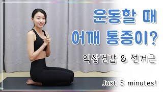 익상견갑 - 운동할 때 어깨가 자주 아프다구요? 전거근 강화 3단계 (Posture correction - winging scapula)