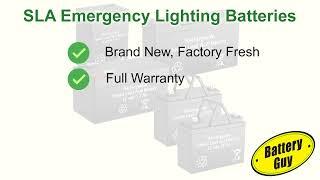 BatteryGuy Sealed Lead Acid Emergency Lighting Batteries