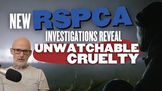 Undercover Investigations Reveal Animal Charity Slaughter | RSPCA Scandal Continues